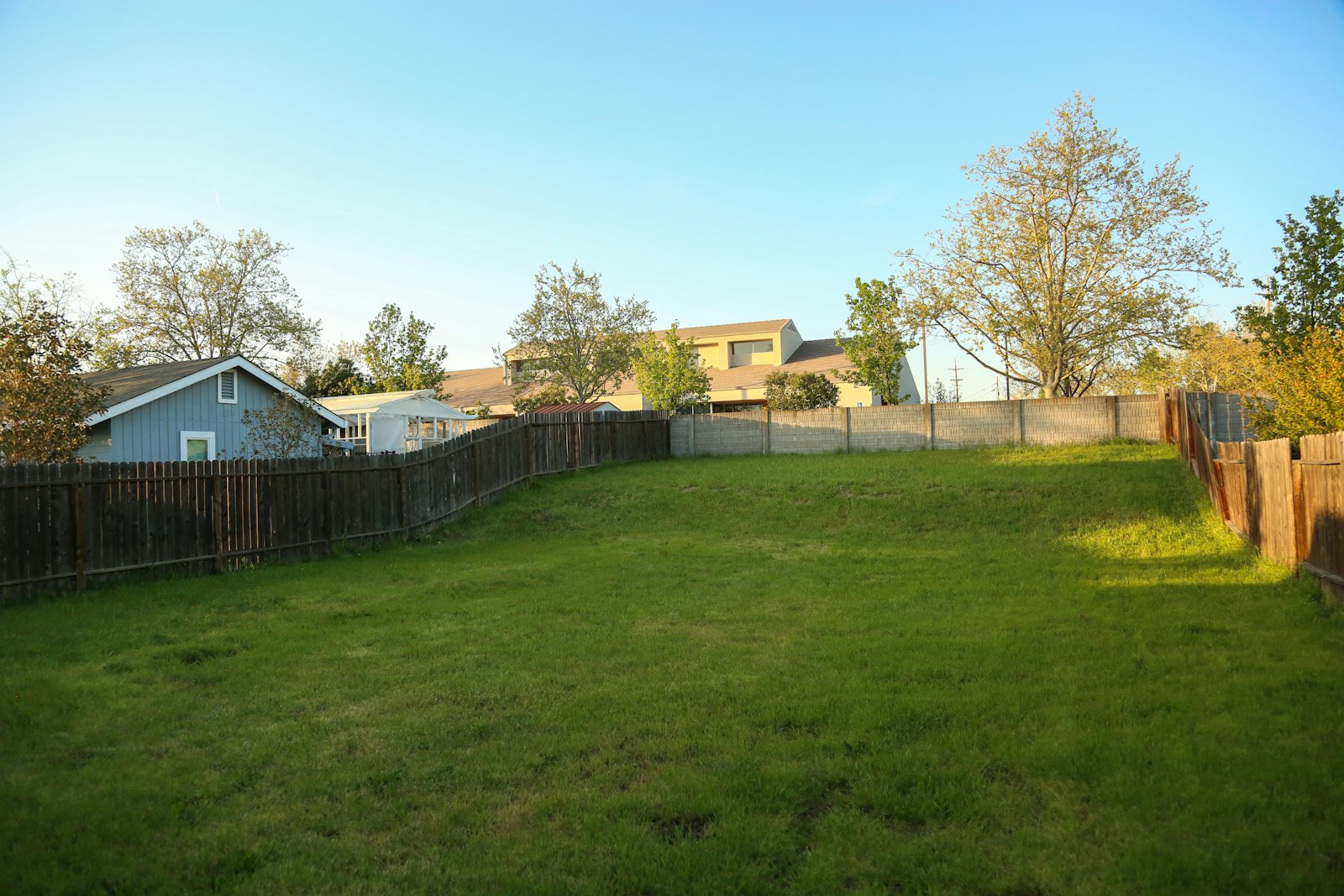 Gramado de área verde residencial com vegetação baixa